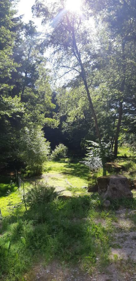 Gite De La Baerenbach Haselbourg Exteriér fotografie